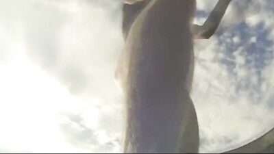 Mature Amateur Skater Boy Onboard - Nice Nude Skateboarding Action!