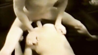 Gay Twinks Vintage Porn - Dreaming Of Hot Ass Play