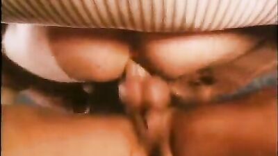 Les Minets Sauvages: The Wild Studs