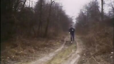 Les Minets Sauvages: The Wild Studs