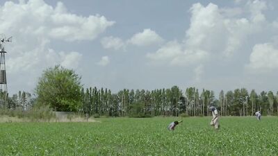 Gay Themed Mainstream Short Clip From Men Of Hard Skin: Explore The World Of Gay Porn In This Steamy Video!