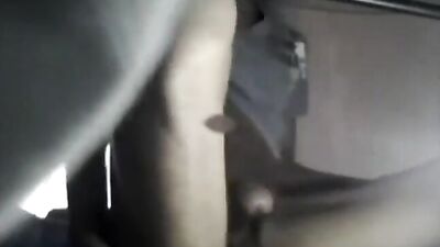 Arabian Cock Compilation: A Sultry Desert Thrill Ride