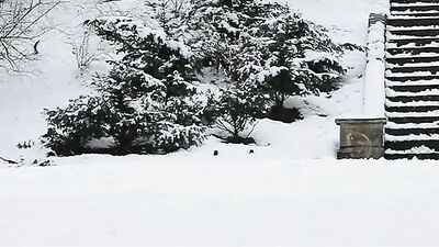 Thick Men Threesome: Cold Weather Heat Up!