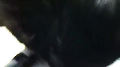 Great Blow Job Revisited: Action-Packed Gay Porn Video!