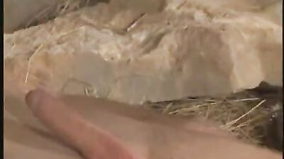 Three Boys Cute: A Vintage Gay Porn Video Adventure!