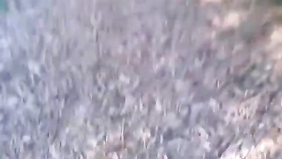 Woodsy Cum Fun: The Sequel