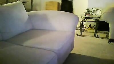 Gay Porn Web-Cam Video - Not Stop Sucking!