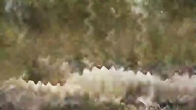 GayPornAction - Interracial Thrill Experience the hottest action scenes in this new release. Watch as two men engage in intense interracial encounters, leaving you breathless.