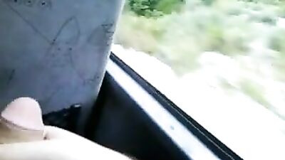 Bus Buddies: The Ultimate Solo Ride!