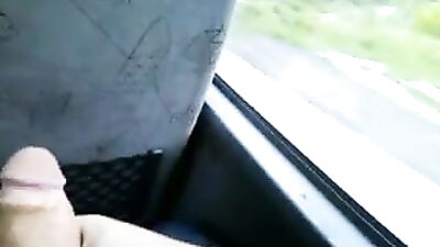 Bus Buddies: The Ultimate Solo Ride!