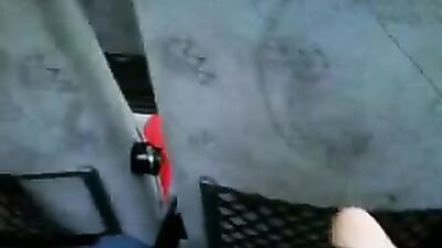 Bus Buddies: The Ultimate Solo Ride!