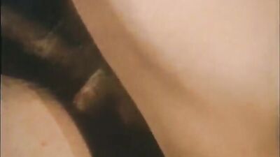 Route 69 Vintage Collection - A Gay Porn Video with Classic Nostalgia!