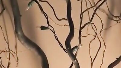 Wake Up! Sleepy Head - Hardcore Bareback Fun!