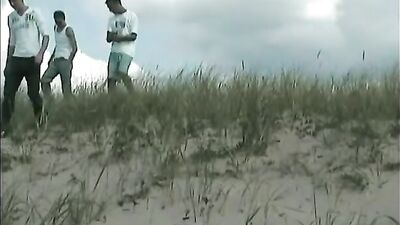 Beach Boys XXX: Sand, Sun and Sex!