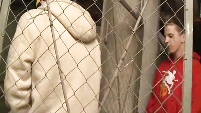 Skaters Gone Wilde: A Gay Porn Video with Fetish Adventures