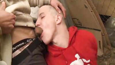 Skaters Gone Wilde: A Gay Porn Video with Fetish Adventures