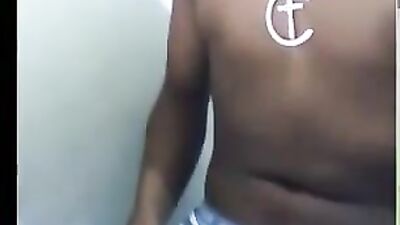 Cute Companions Web-Cam Adventure