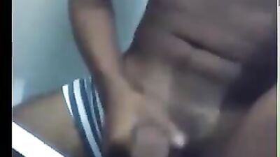 Cute Companions Web-Cam Adventure