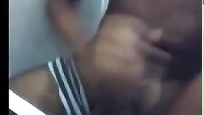 Cute Companions Web-Cam Adventure