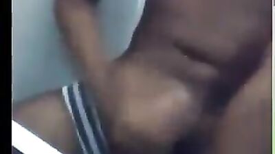 Cute Companions Web-Cam Adventure