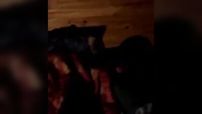 Gangbang Friends: Amateur Gay Porn Video!