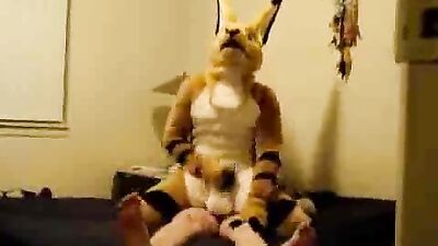 Kangaroo Fucking - The Ultimate Gay Fetish Fantasy