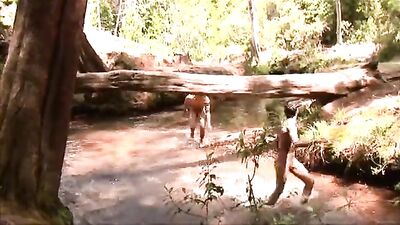 Jungle Fever: Hardcore Bareback Action with Horny Boys!