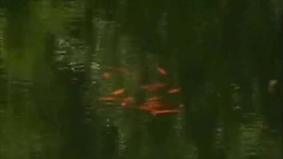 Natural Twinks Fun: Back To Nature Sex