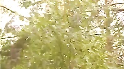 Gay Forests Latino : Action Packed or Forest Frenzy : Latino Gay Action