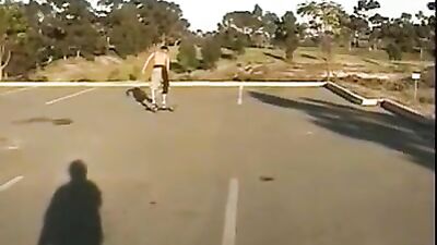 Noahs Gay Porn Adventure: Straight Boys Get Down!