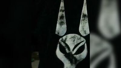 At Home and Fast: The New Web-Cam Experience