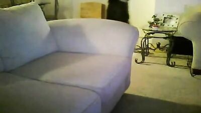 That well suck me! Oral Adventure - Straight to the Point!