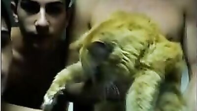 Gay Porn Web-Cam Adventure - Trying To Convince