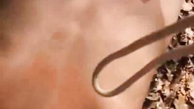 Kinky Woodland Adventures: Web-Cam Men Go Wild!