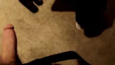 Gay College Stud Sucks Cocks!