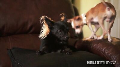 Puppy Love: Hot Boys in Action!