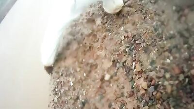 Wild Twinks Unleashed - Action Bareback Porn