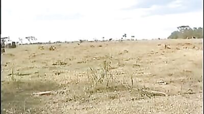 Latino Threesome Revisited - Bareback Group Sex Returns!