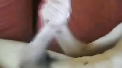 Young tasty boys with massive dicks on cam! A new gay porn experience is here!