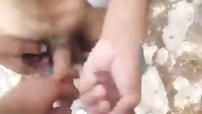 Gay Park Public Boys: Exploring Sexual Desires in Nature