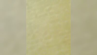 No Toilet Blowjobs! - The Ultimate Oral Experience