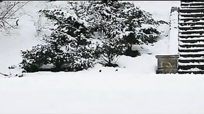 Indoors Threesome: Bareback Group Sex