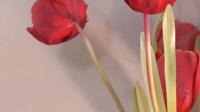 Red Pants Porn Boys - Explosive Gay Action in the Bedroom!