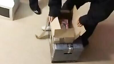 Double Dicks Delight - Gay Porn Action Scenes