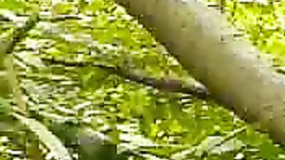 Thai Boy Outdoor Explosion - The Sequel