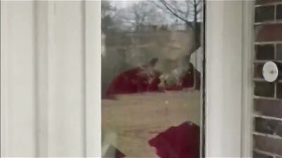 Gay Porn Fantasy - Big Cocks Cartoons Explore the wild side with this horny teenager!