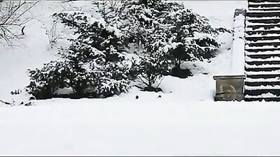 Bareback Heat Wave: Inside Sizzling Gay Action!