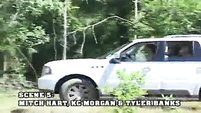 Grassy Threesome: Action in the Field!