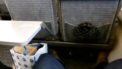 Asian Cum Frenzy on Singapores Trains: Unleash Your Inner Beast!