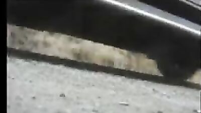 Trespassing Heat: Action-Packed Gay Porn Adventure!